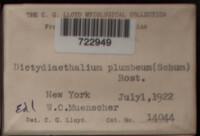 Image Associated With the Occurence
